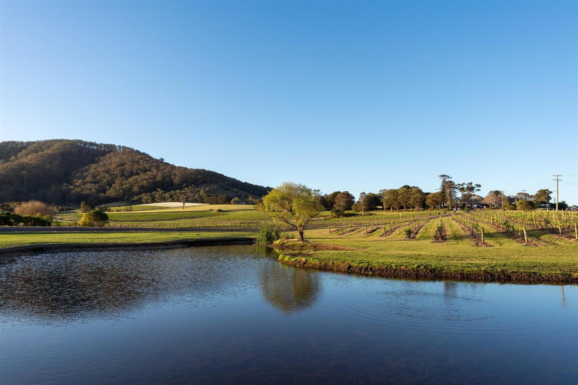 Coolangatta Estate Shoalhaven Headsモーテル エクステリア 写真