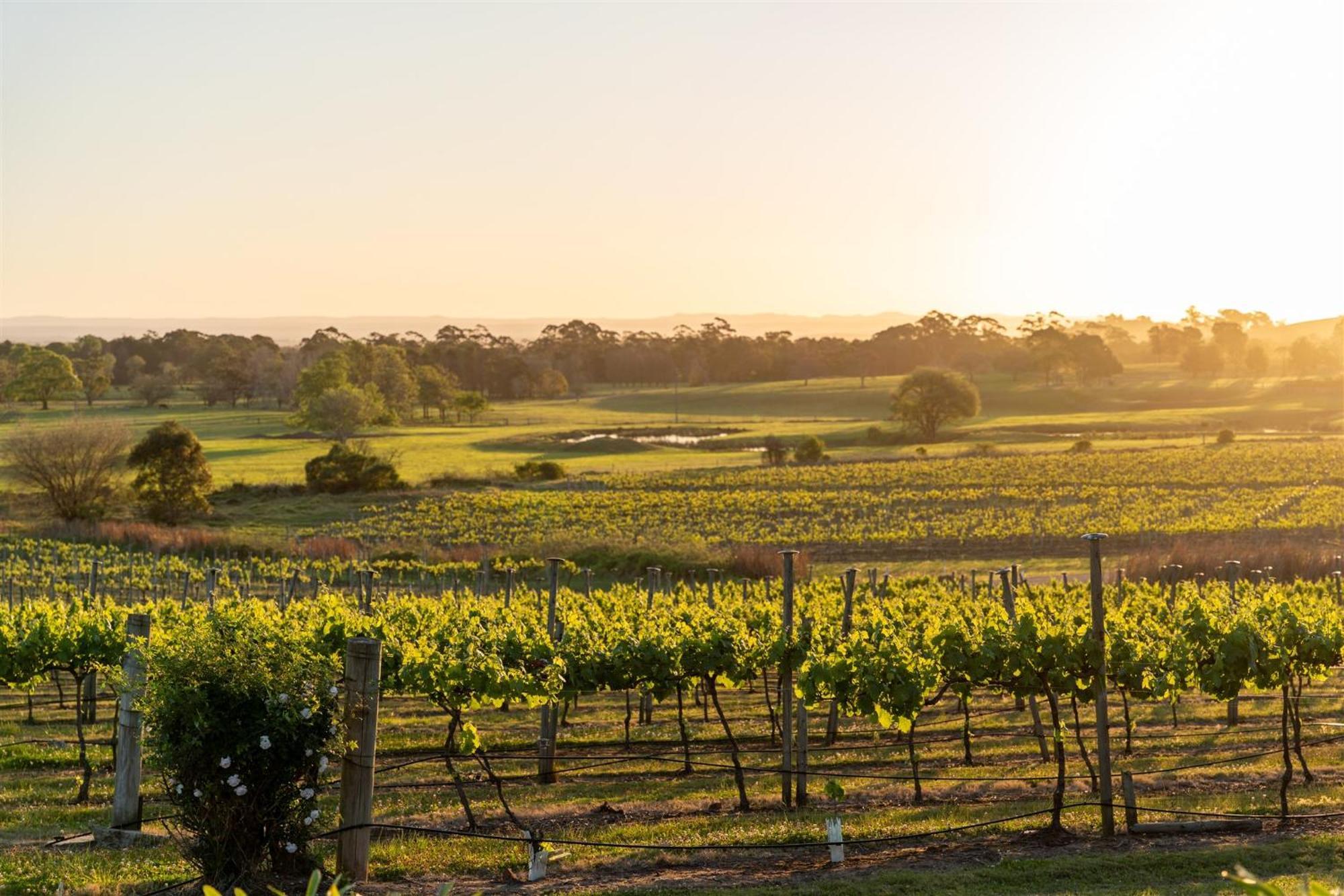 Coolangatta Estate Shoalhaven Headsモーテル エクステリア 写真