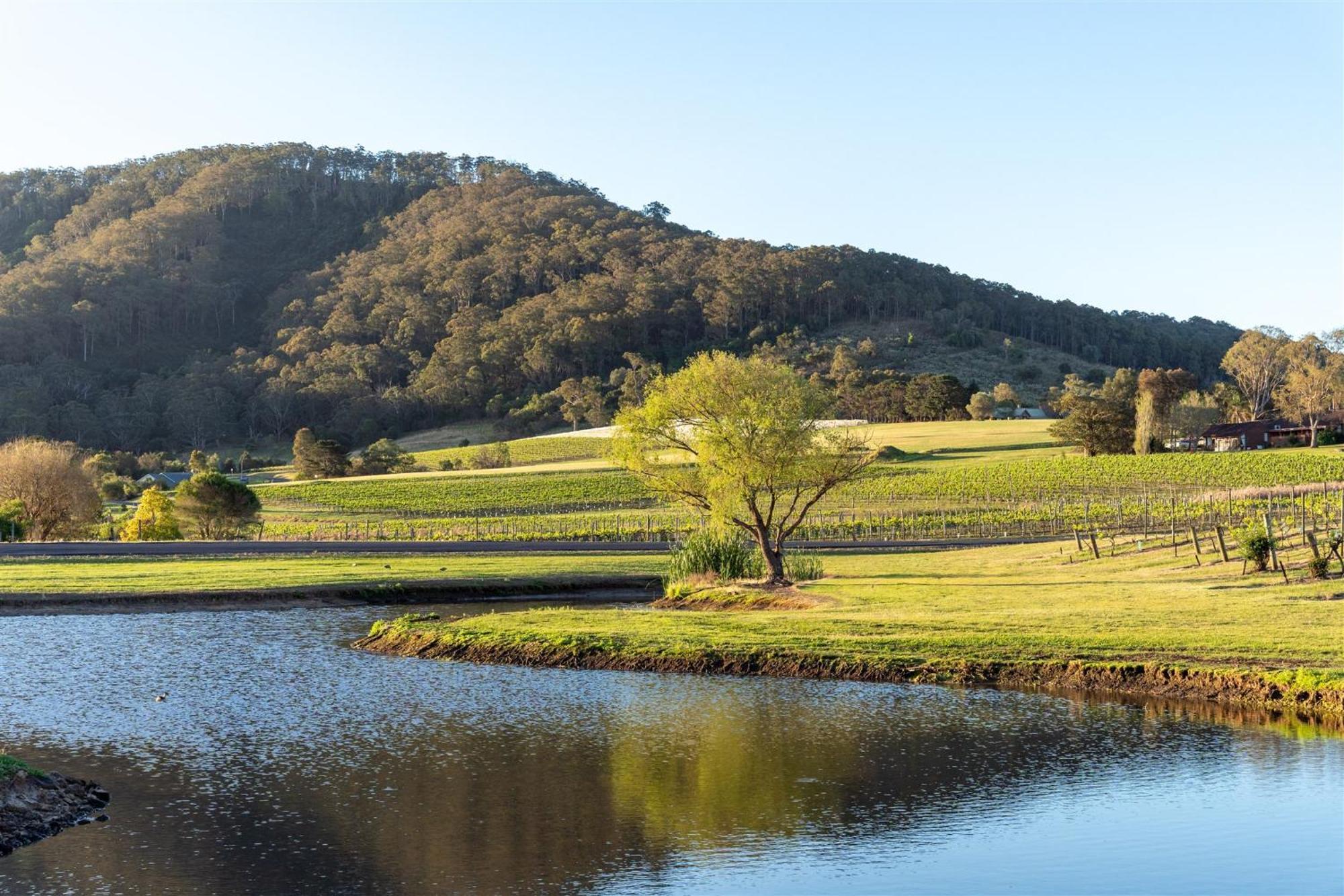 Coolangatta Estate Shoalhaven Headsモーテル エクステリア 写真
