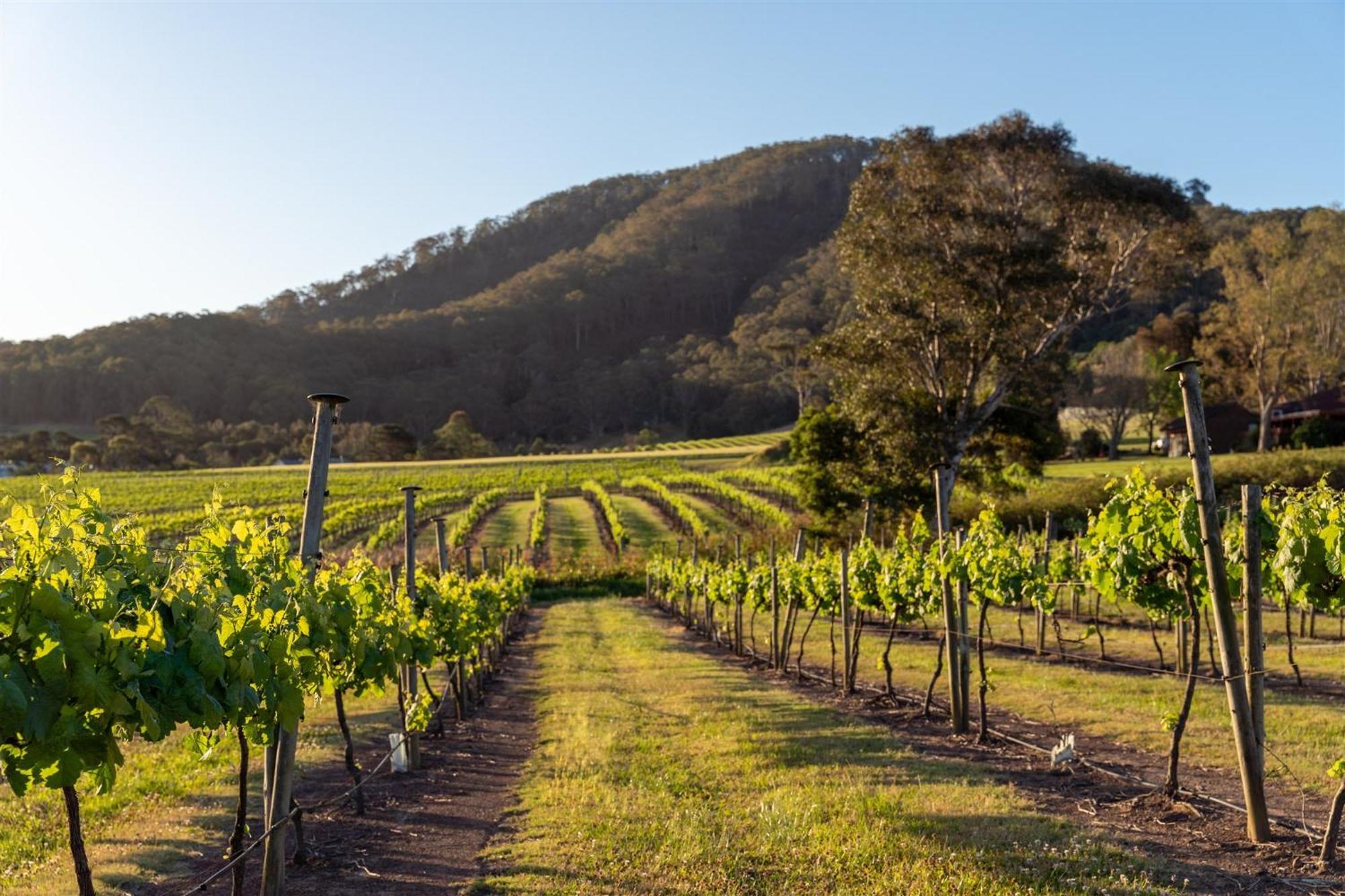 Coolangatta Estate Shoalhaven Headsモーテル エクステリア 写真