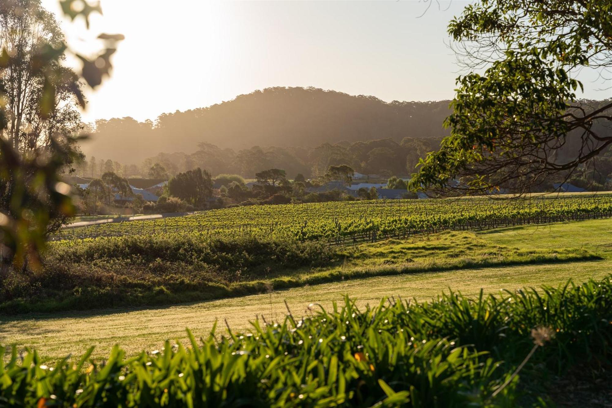 Coolangatta Estate Shoalhaven Headsモーテル エクステリア 写真
