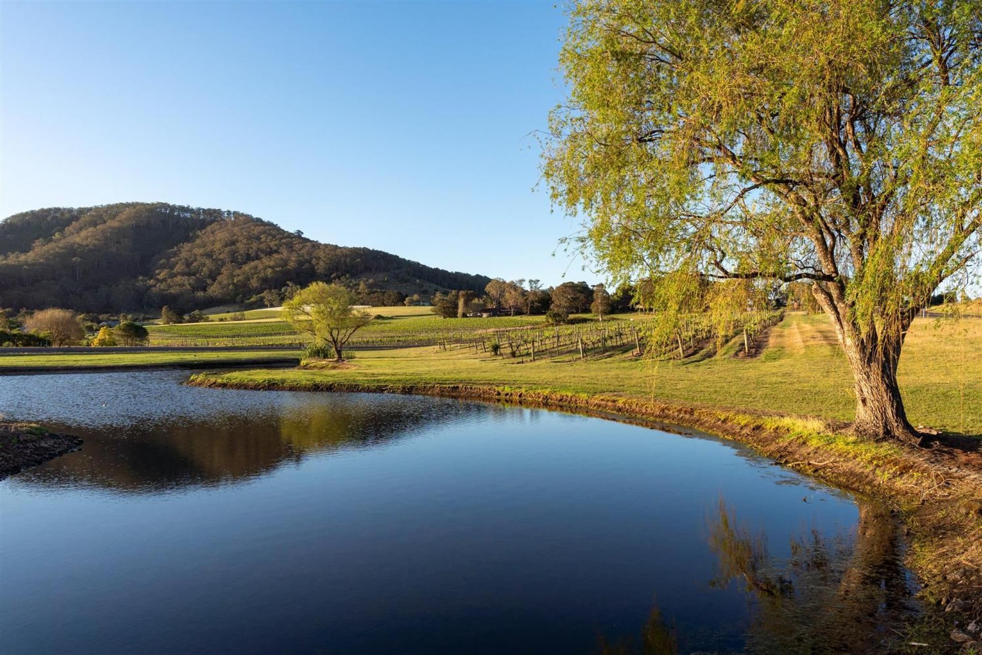 Coolangatta Estate Shoalhaven Headsモーテル エクステリア 写真