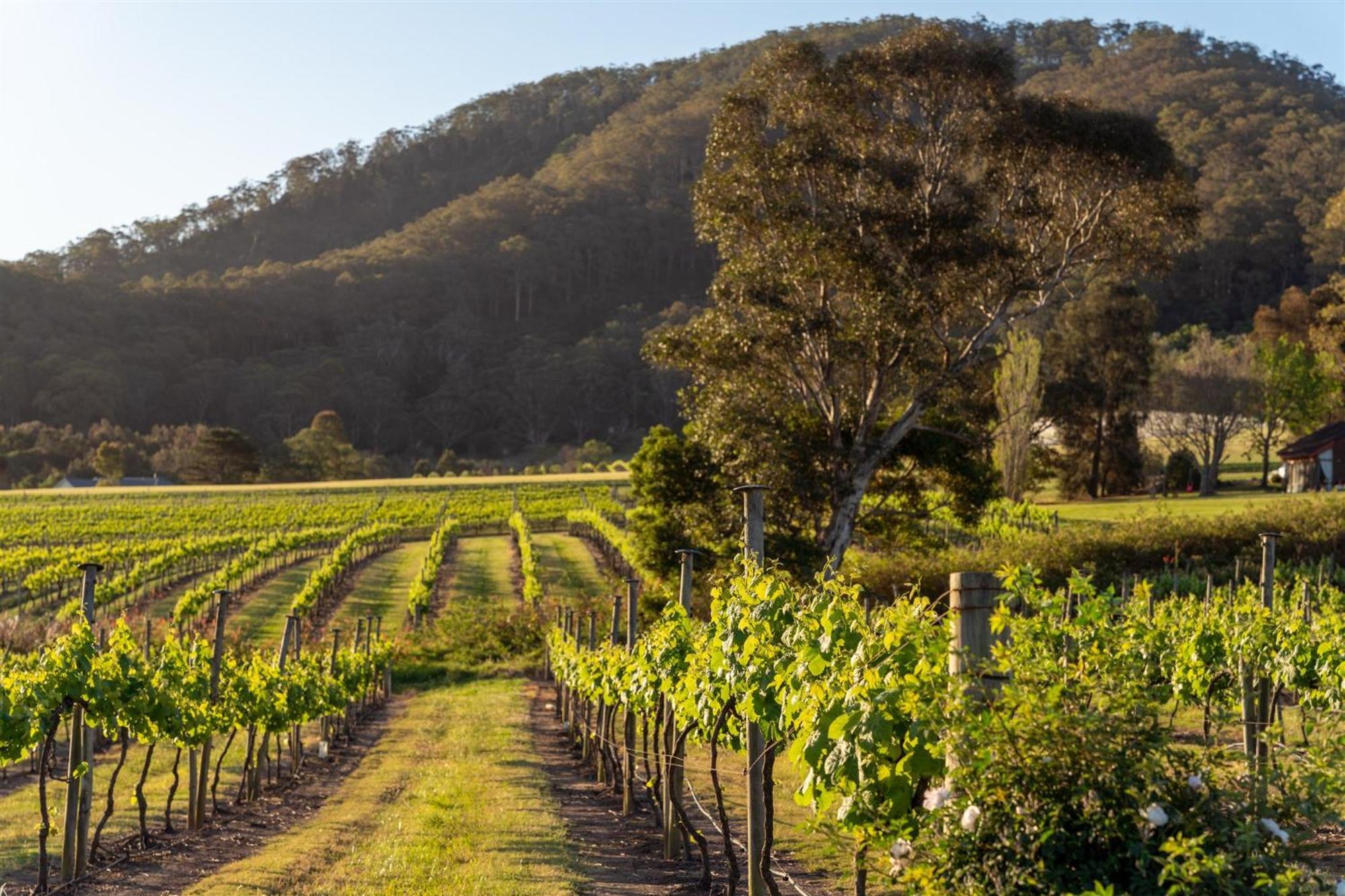 Coolangatta Estate Shoalhaven Headsモーテル エクステリア 写真